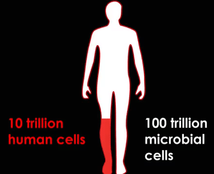 human-cells-vs-microbial-cells
